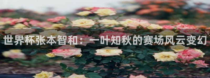2026世界杯直播免费观看:世界杯张本智和:一叶知秋的赛场风云变幻