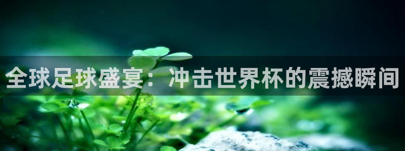 足球杯:全球足球盛宴:冲击世界杯的震撼瞬间