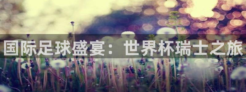 世界杯:国际足球盛宴:世界杯瑞士之旅
