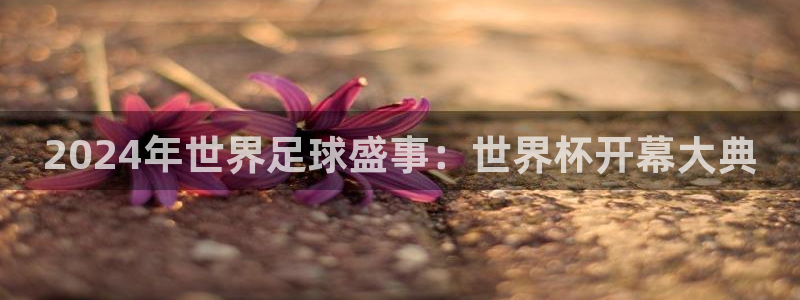 欧洲世界杯预选赛赛程:2024年世界足球盛事:世界杯开幕大典