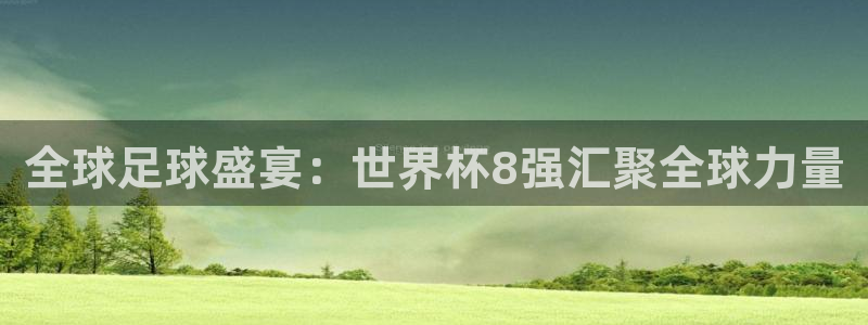世界杯赛程表:全球足球盛宴:世界杯8强汇聚全球力量