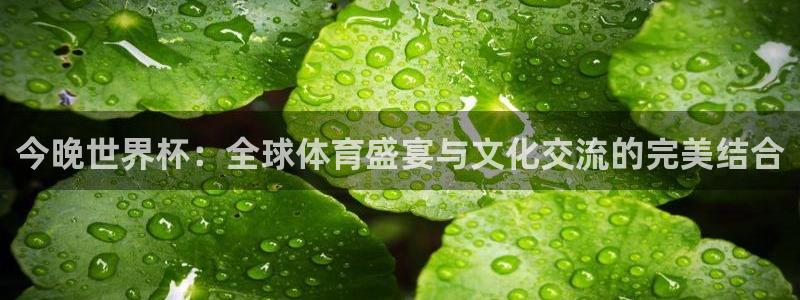 世界杯直播:今晚世界杯:全球体育盛宴与文化交流的完美结合